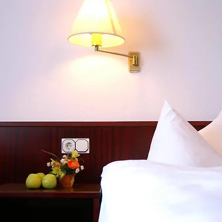 Ibis Styles Halle מלון Halle (Saale)